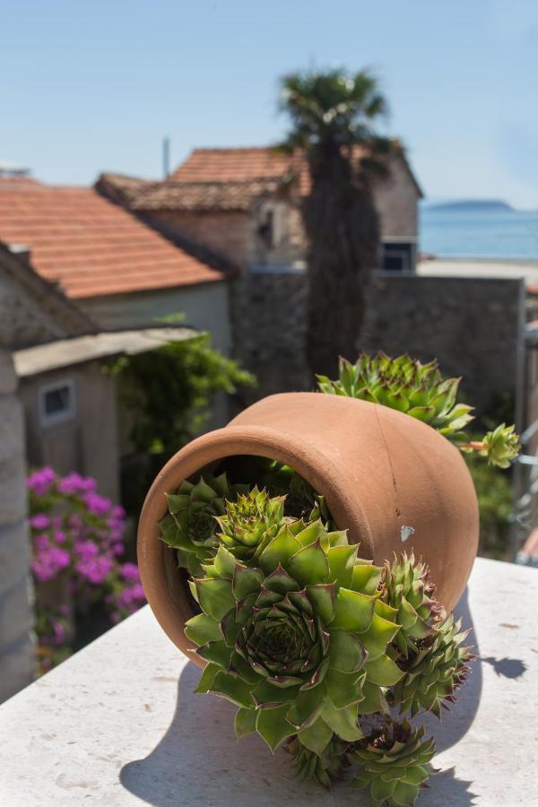 Amaizing Apartment Near Airport Kastel Stafilic Bagian luar foto